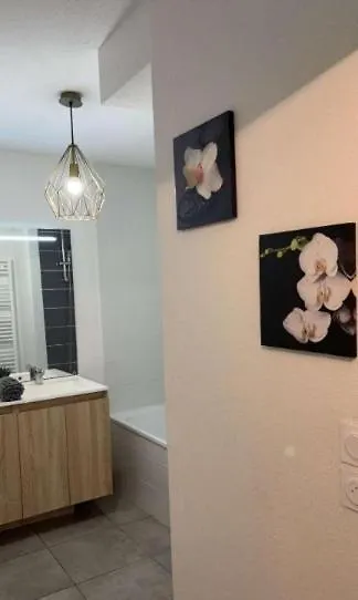 Suite And Jacuzzi Toulouse